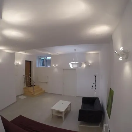 Cozy Ground Floor アパート ヴィリニュス